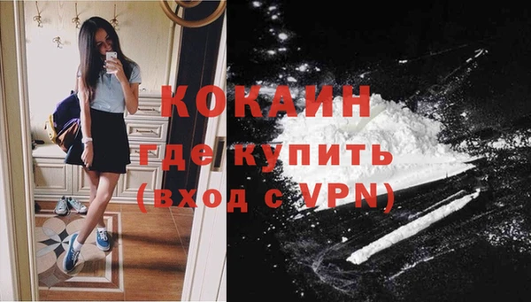 стафф Вяземский