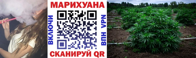 Канабис индика  купить закладку  Заполярный 